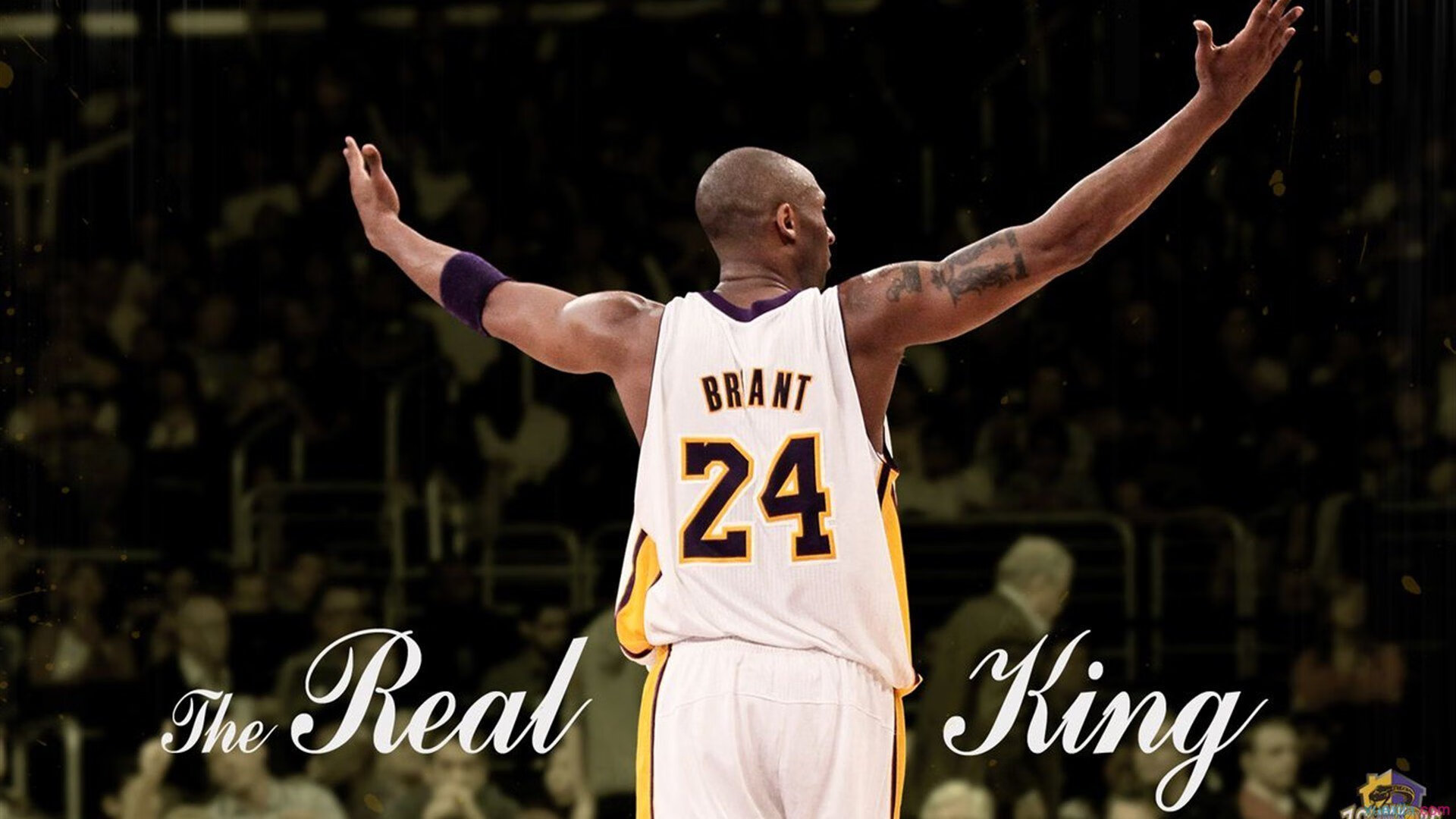 F1赛车赛场焦点！俄罗斯队对阵荷兰队，豪门翻车，赛后引发巨大争议